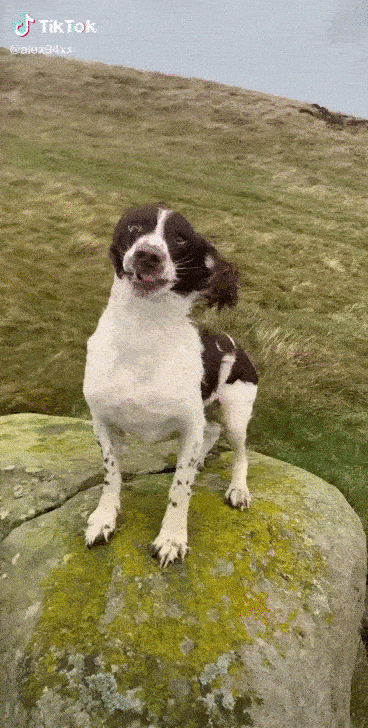 https://kak2z.ru/my_img/img/2020/09/05/1228f.gif