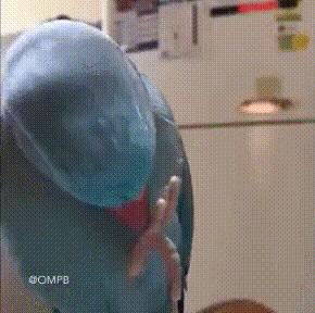 https://kak2z.ru/my_img/img/2020/09/06/dab3c.gif