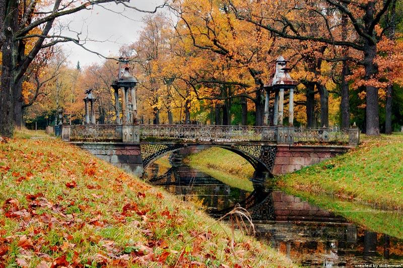 Осень парк лавочка озеро