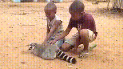 https://kak2z.ru/my_img/img/2020/10/27/8c4c8.gif