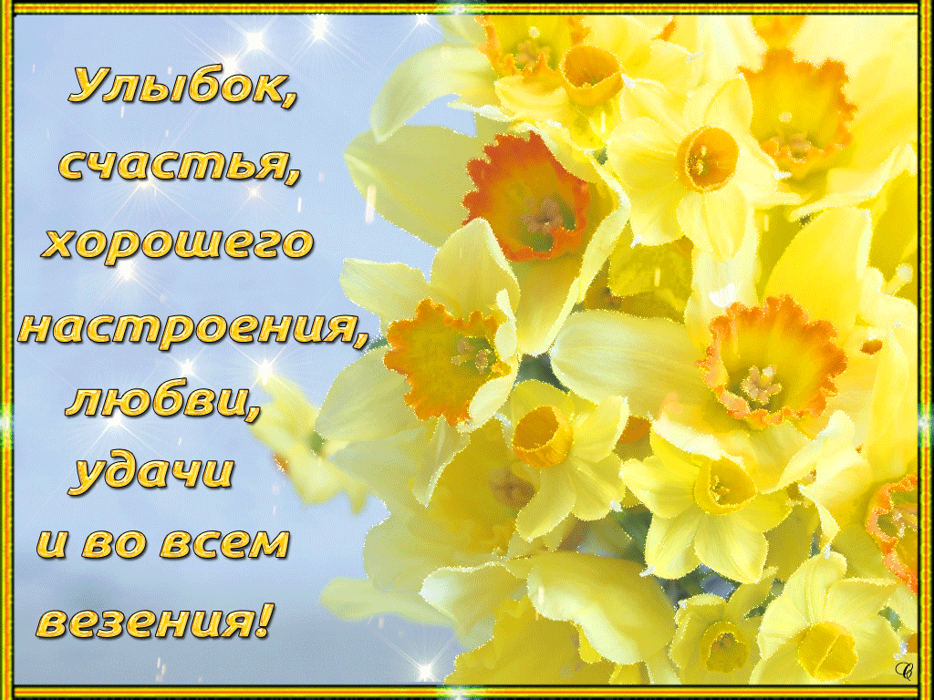 Повезло весной. Открытки с пожеланиями. Желая счастья и улыбок. Открытка «Нарцисс». Открытка с желтыми цветами поздравления.