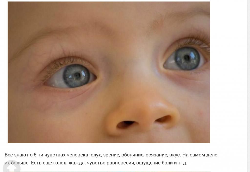 https://kak2z.ru/my_img/img/2020/12/13/85723.jpg