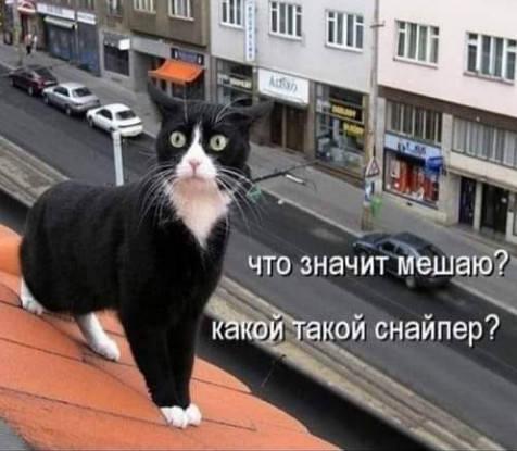 https://kak2z.ru/my_img/img/2021/01/19/639bb.jpg