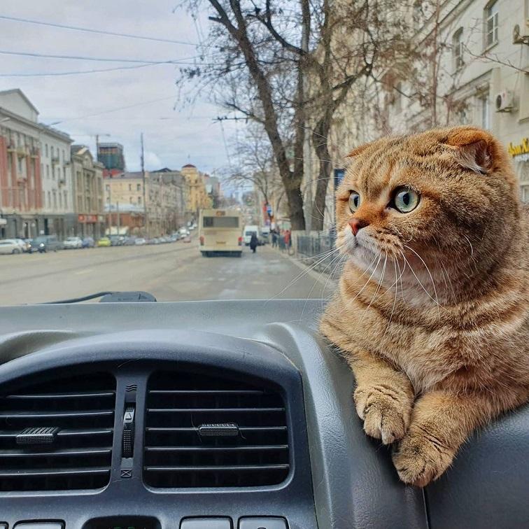 https://kak2z.ru/my_img/img/2021/03/01/309f0.jpg