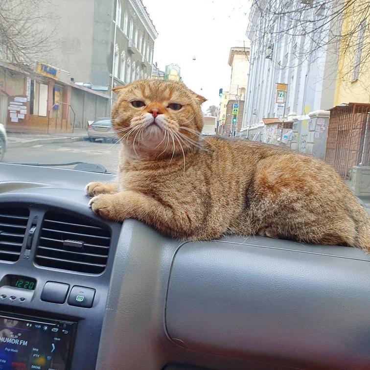 https://kak2z.ru/my_img/img/2021/03/01/c07d6.jpg