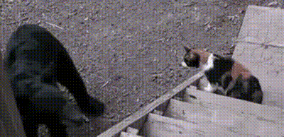 https://kak2z.ru/my_img/img/2021/03/03/194e2.gif