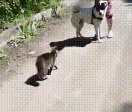https://kak2z.ru/my_img/img/2021/03/03/94901.gif