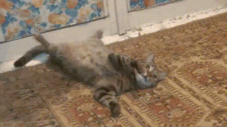 https://kak2z.ru/my_img/img/2021/03/03/c4808.gif