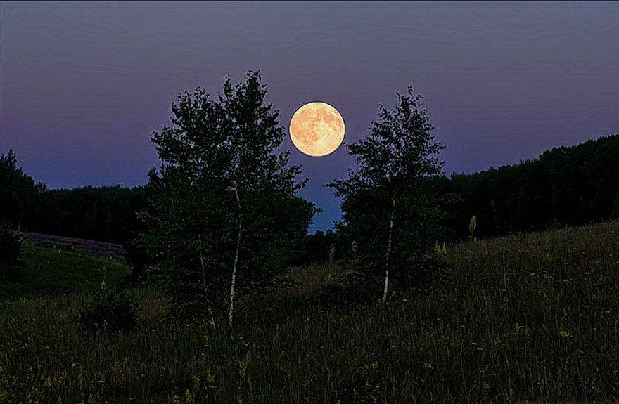 Светит луна там вдали. Луна в лесу. Ночное поле в деревне. Вечер Луна в деревне. Лунный вечер.