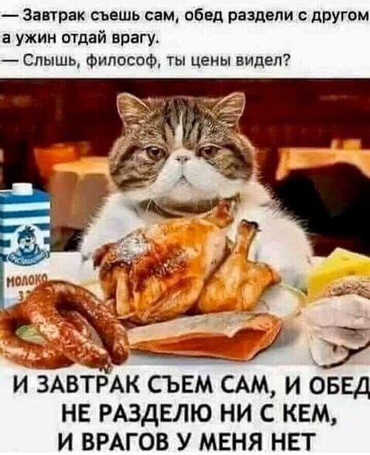 https://kak2z.ru/my_img/img/2021/03/15/a64b7.jpg