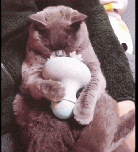 https://kak2z.ru/my_img/img/2021/03/20/8df0f.gif