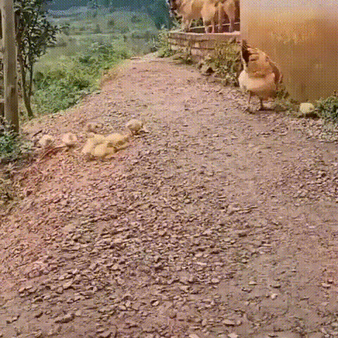https://kak2z.ru/my_img/img/2021/04/03/13f9a.gif