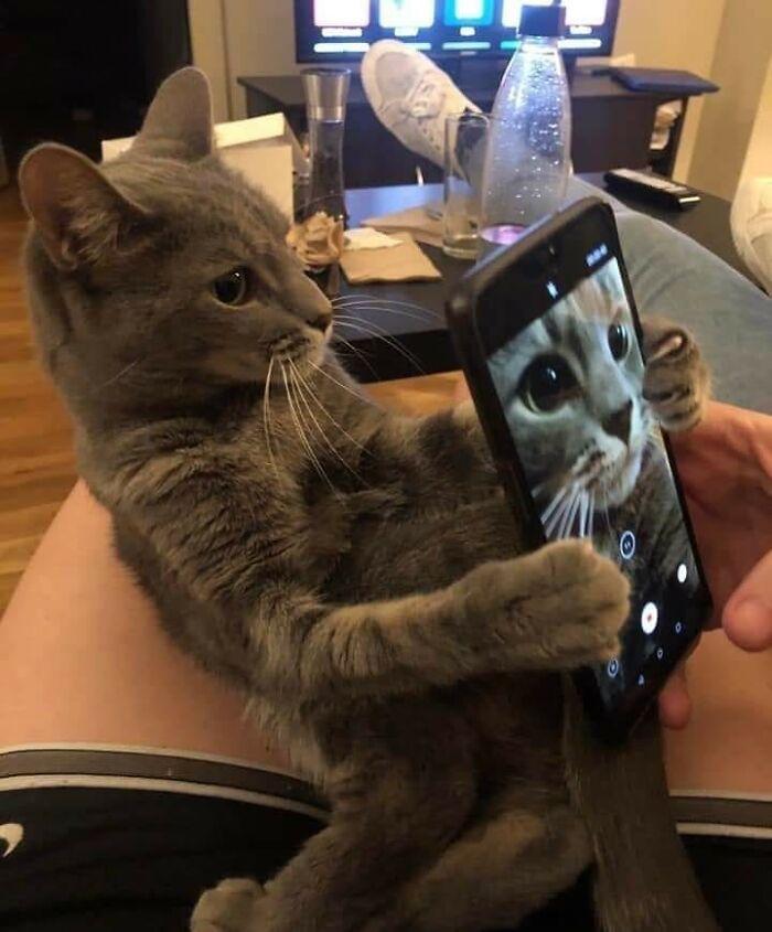 https://kak2z.ru/my_img/img/2021/04/16/1c94a.jpg