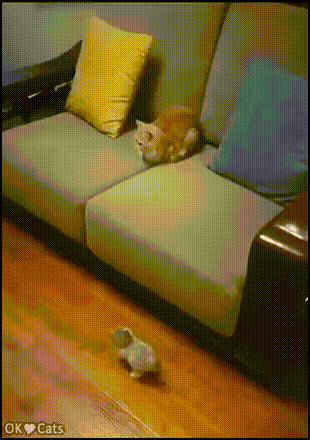 https://kak2z.ru/my_img/img/2021/04/23/74074.gif