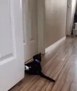 https://kak2z.ru/my_img/img/2021/04/23/7a223.gif