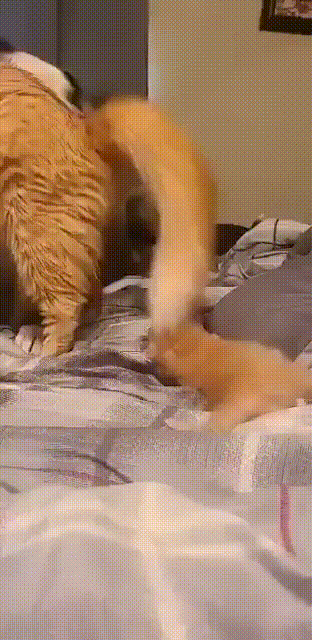 https://kak2z.ru/my_img/img/2021/05/04/3c7d6.gif