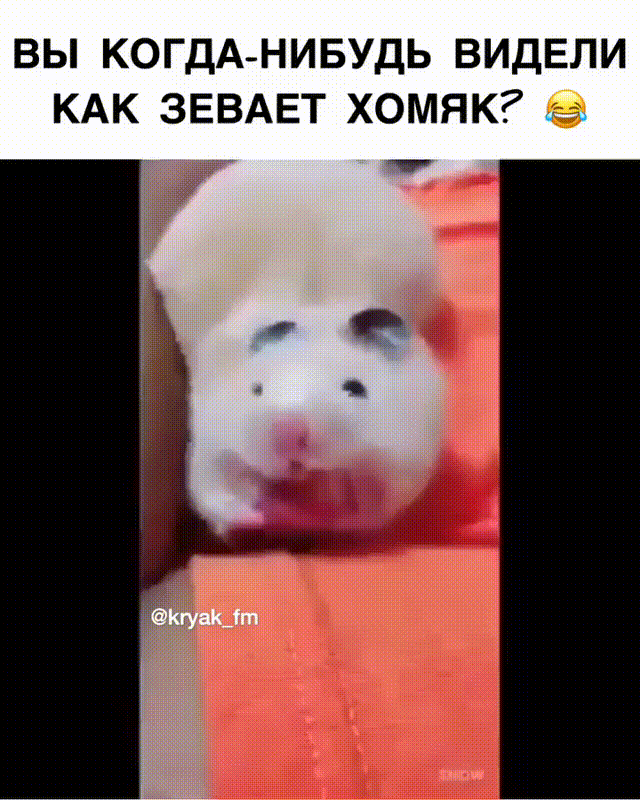 https://kak2z.ru/my_img/img/2021/05/05/a52f5.gif