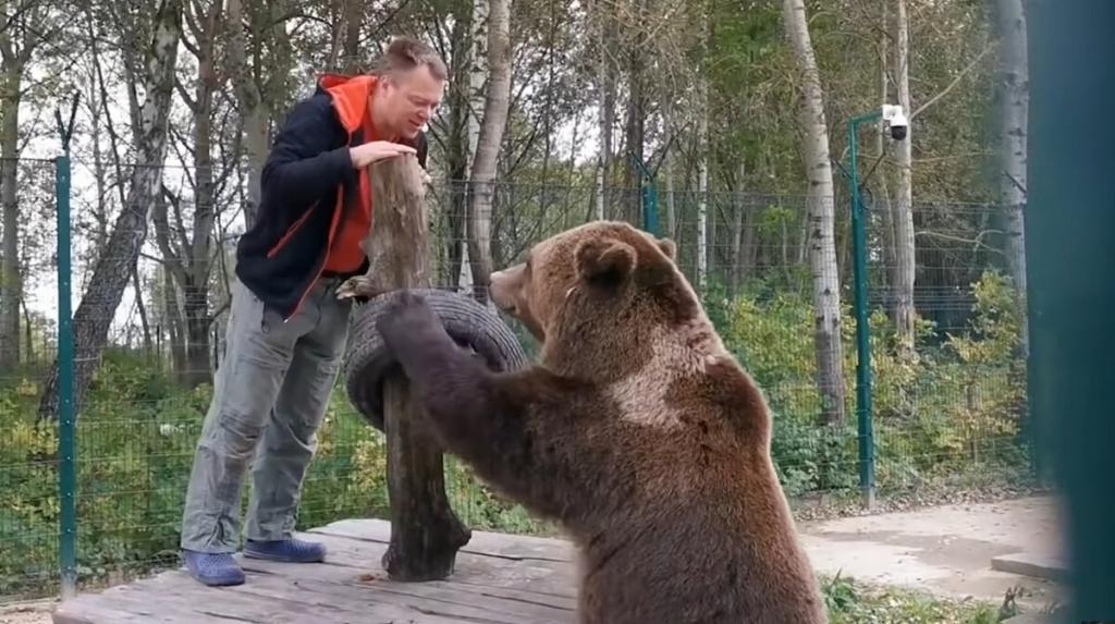 Медвежонок Мансур поселился на аэродроме