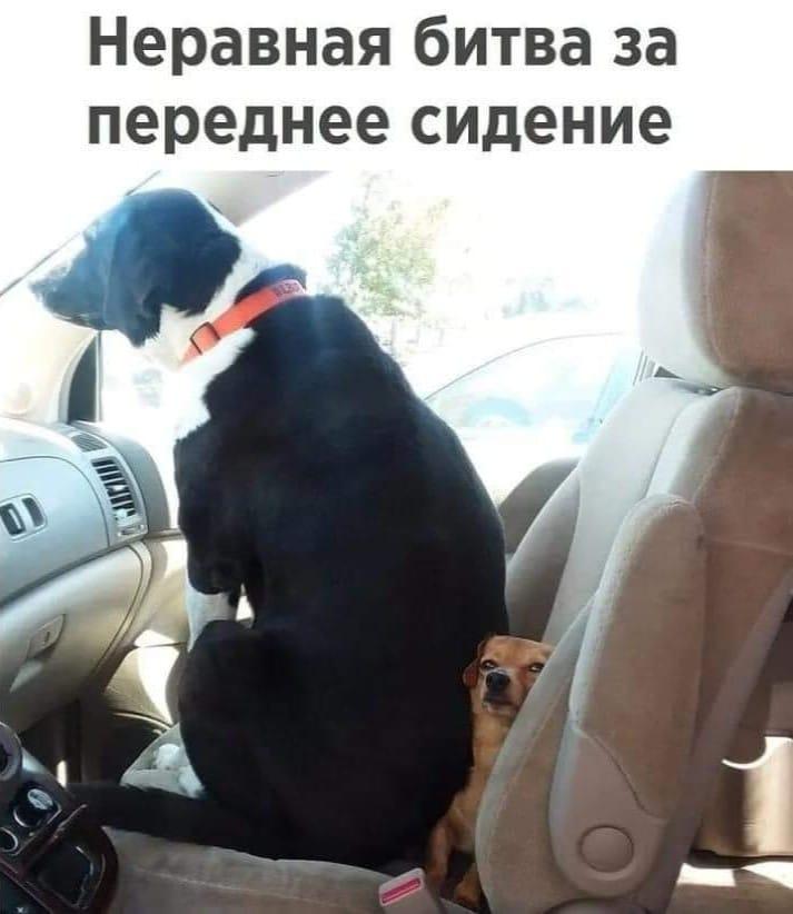https://kak2z.ru/my_img/img/2021/05/21/25fa3.jpg