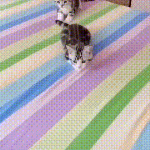 https://kak2z.ru/my_img/img/2021/05/31/d2add.gif