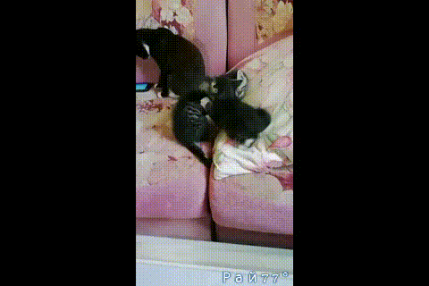 https://kak2z.ru/my_img/img/2021/06/01/e499c.gif