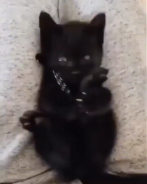https://kak2z.ru/my_img/img/2021/06/02/8f2dc.gif