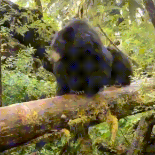 https://kak2z.ru/my_img/img/2021/06/05/ad4b6.gif