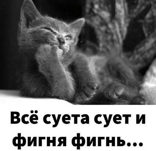 https://kak2z.ru/my_img/img/2021/06/10/39108.jpg