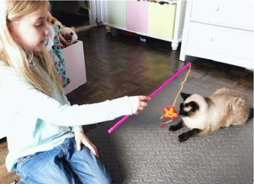 https://kak2z.ru/my_img/img/2021/06/11/5df53.png