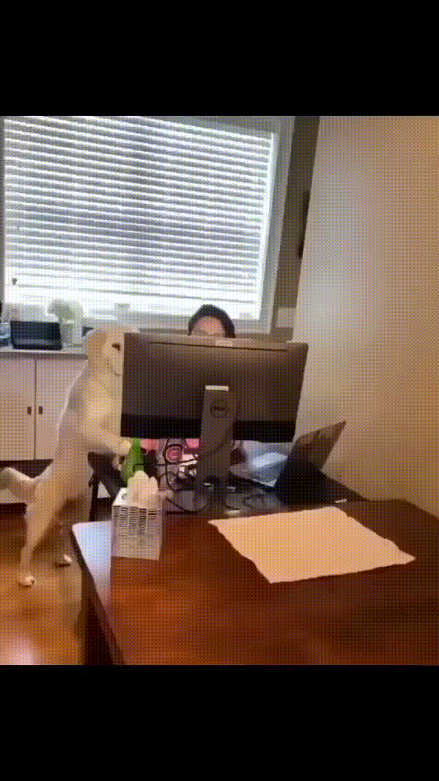 https://kak2z.ru/my_img/img/2021/06/27/3b30f.gif