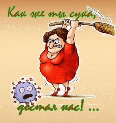 https://kak2z.ru/my_img/img/2021/06/30/244c1.jpg