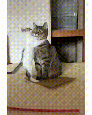 https://kak2z.ru/my_img/img/2021/07/07/c2c67.gif