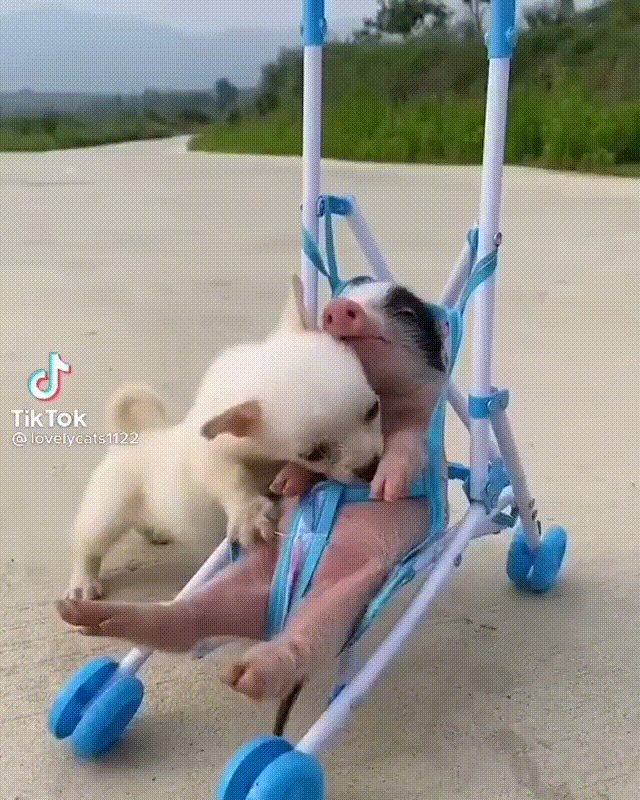 https://kak2z.ru/my_img/img/2021/07/15/3fa10.gif