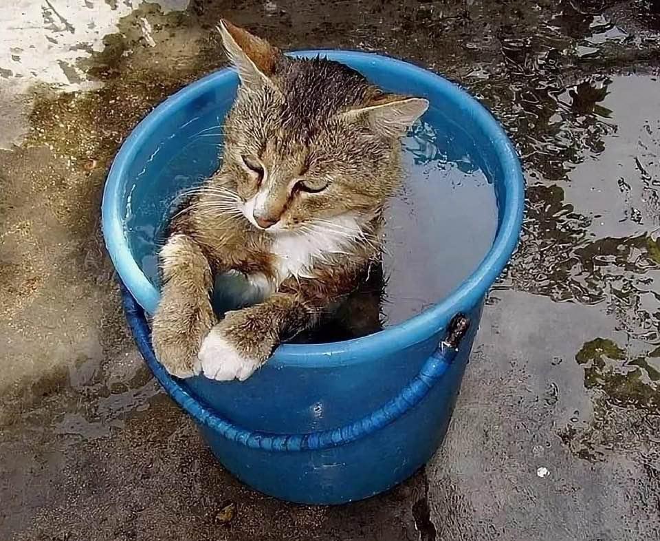 https://kak2z.ru/my_img/img/2021/07/15/95c2f.jpg