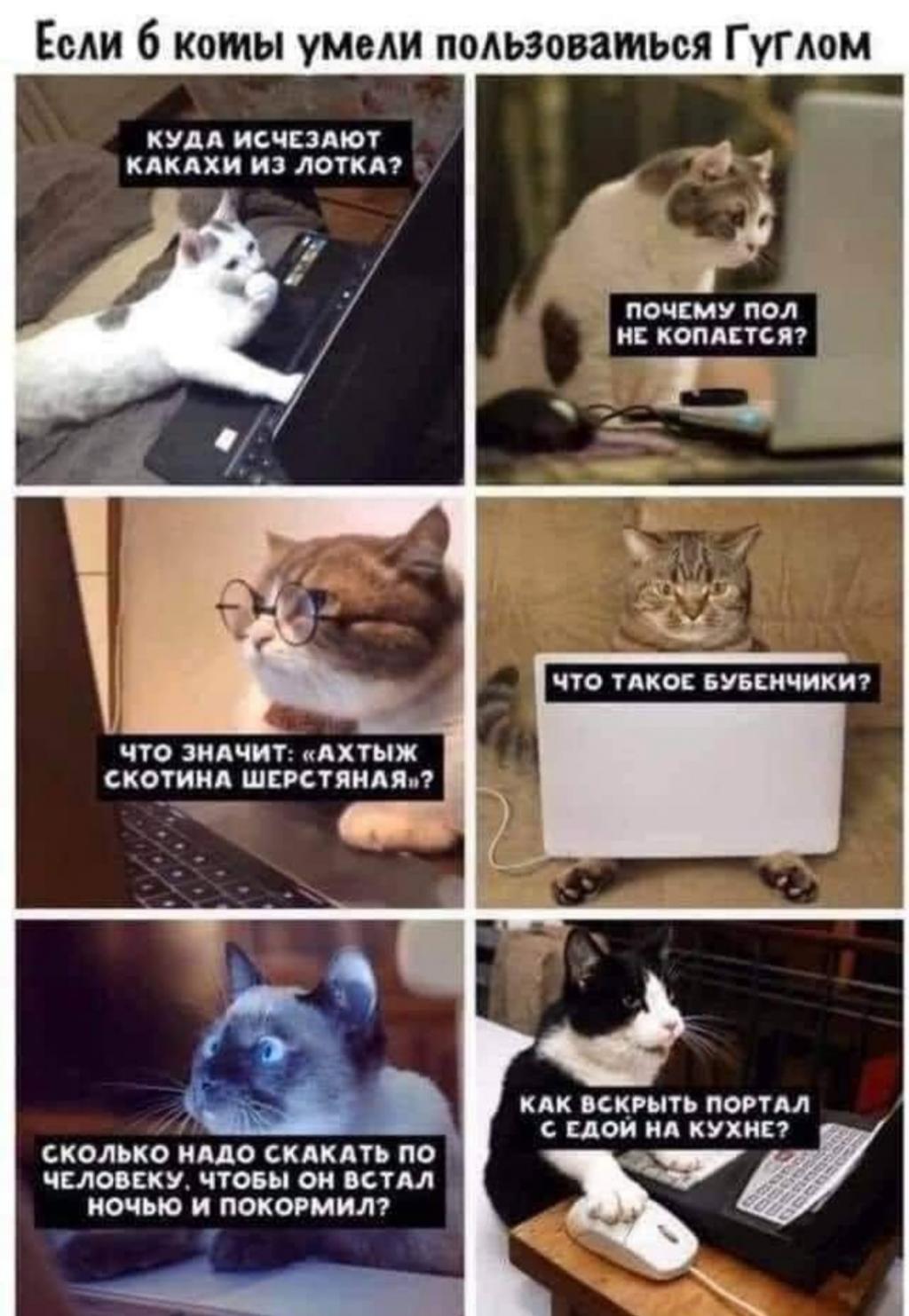 https://kak2z.ru/my_img/img/2021/07/17/9e9e2.jpg