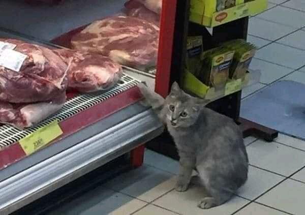 https://kak2z.ru/my_img/img/2021/07/31/90861.jpg
