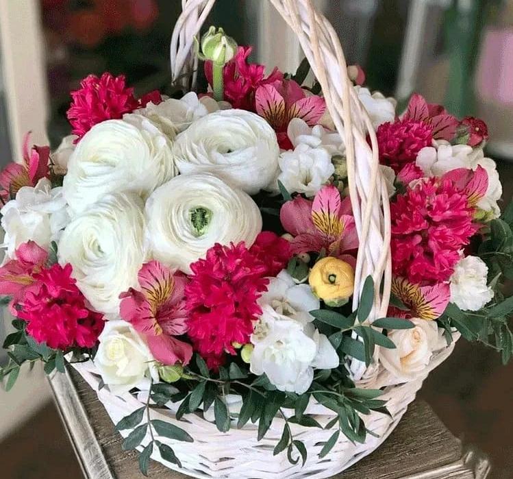 Р¦РІРµС‚С‹ Flor World