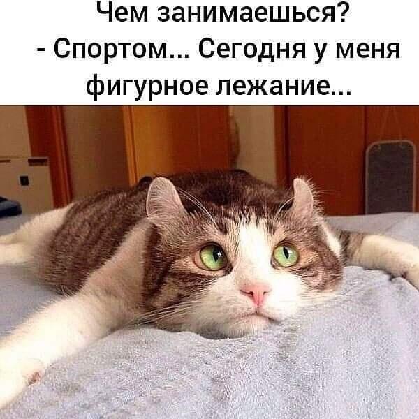 https://kak2z.ru/my_img/img/2021/08/24/c842c.jpg