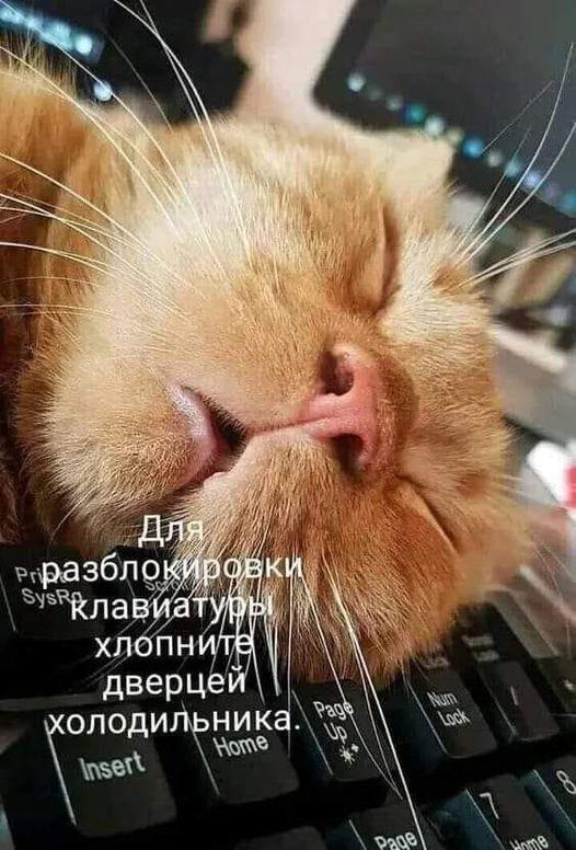 https://kak2z.ru/my_img/img/2021/08/25/11f91.jpg