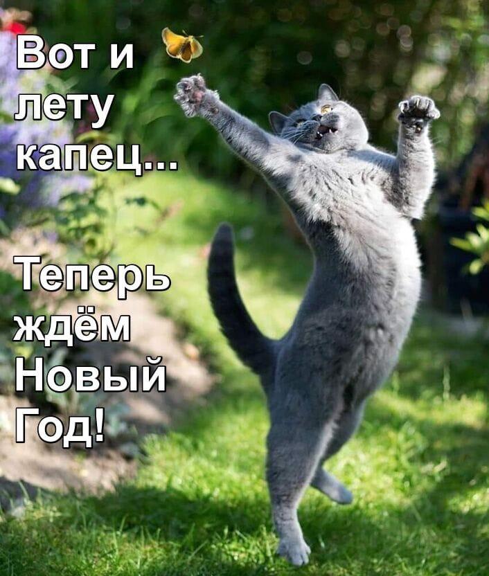 https://kak2z.ru/my_img/img/2021/09/02/7cd76.jpg
