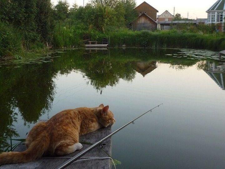 https://kak2z.ru/my_img/img/2021/09/10/4e2d0.jpg