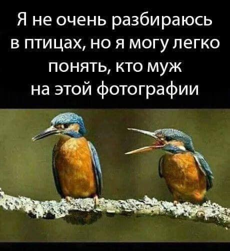 https://kak2z.ru/my_img/img/2021/09/10/c5dd9.jpg