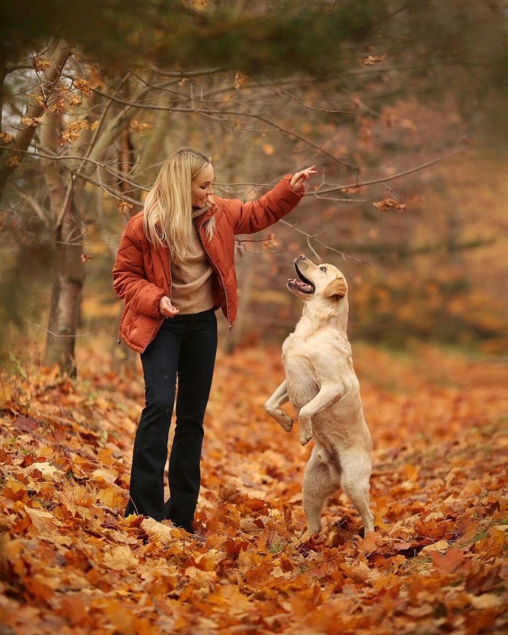 https://kak2z.ru/my_img/img/2021/09/23/4a8e0.jpg