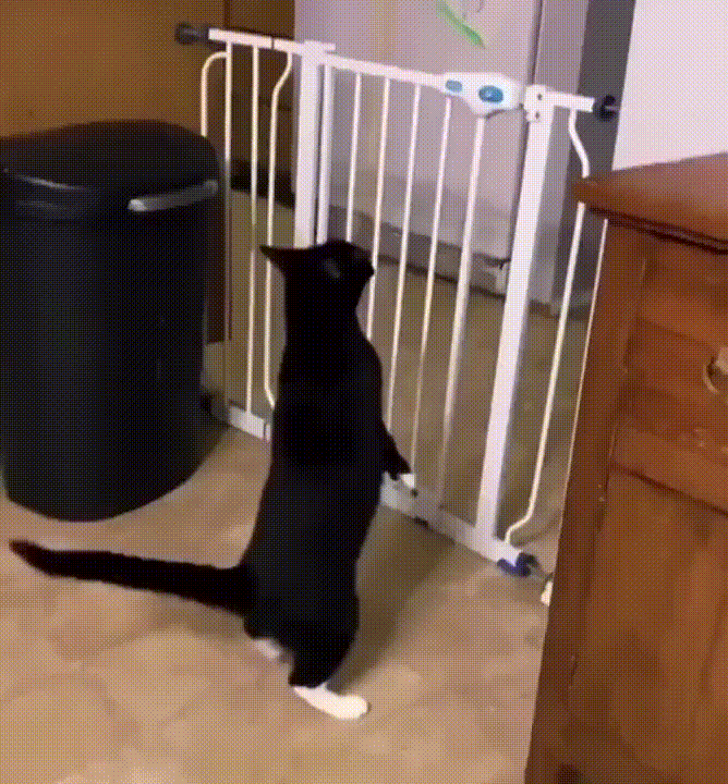 https://kak2z.ru/my_img/img/2021/09/30/6c7fb.gif