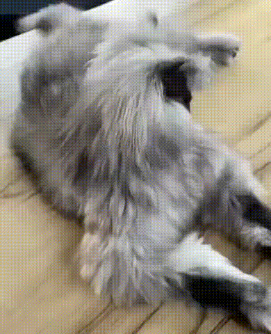 https://kak2z.ru/my_img/img/2021/10/25/7ad10.gif