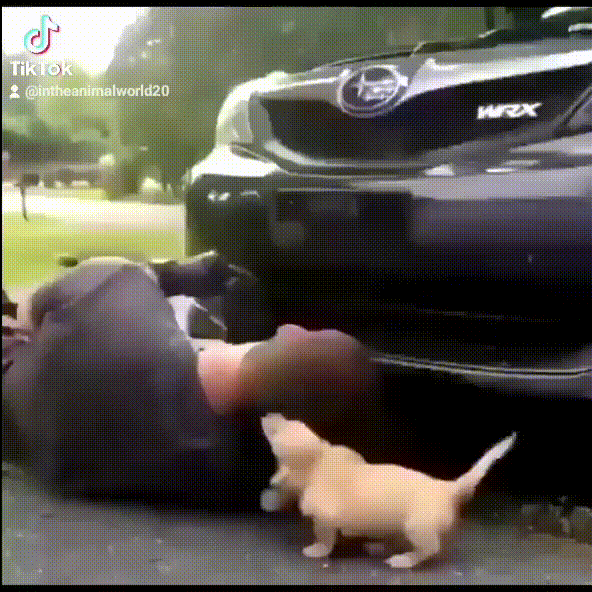 https://kak2z.ru/my_img/img/2021/11/03/9f768.gif