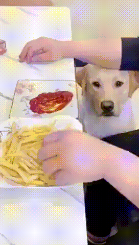 https://kak2z.ru/my_img/img/2021/11/05/46220.gif