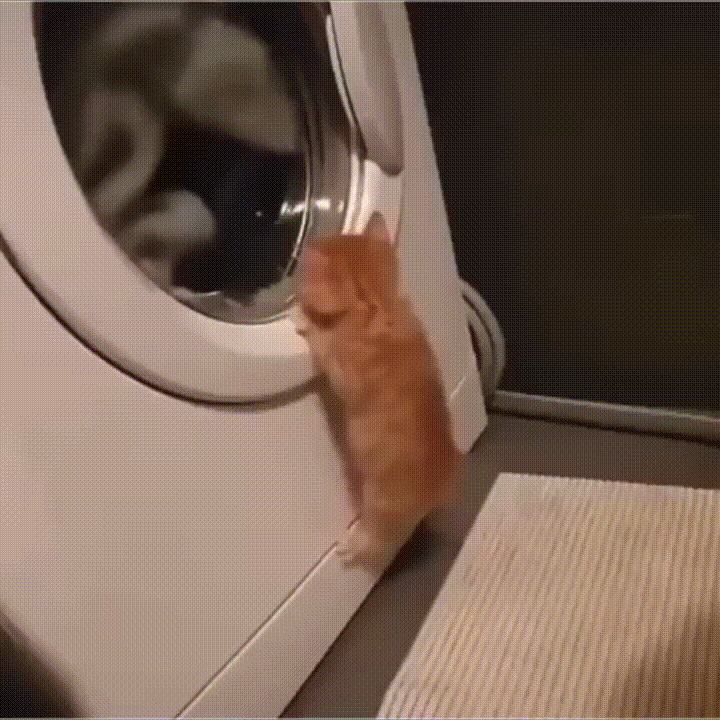 https://kak2z.ru/my_img/img/2021/11/08/5eabe.gif