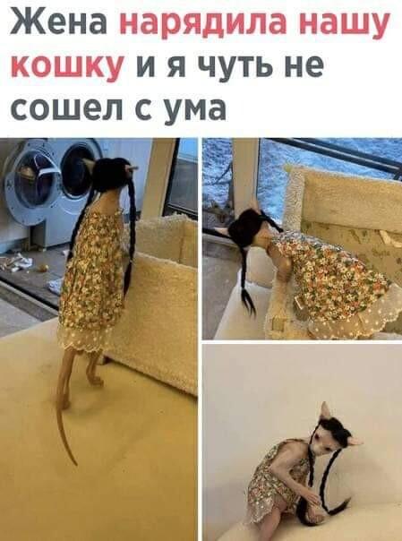 https://kak2z.ru/my_img/img/2021/11/14/0ccf7.jpg