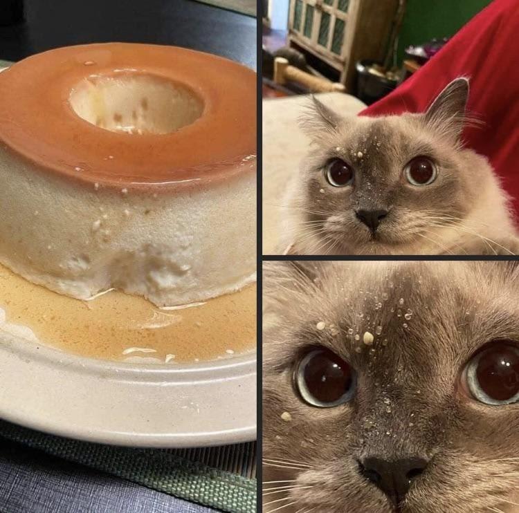 https://kak2z.ru/my_img/img/2021/11/18/6b1ba.jpg